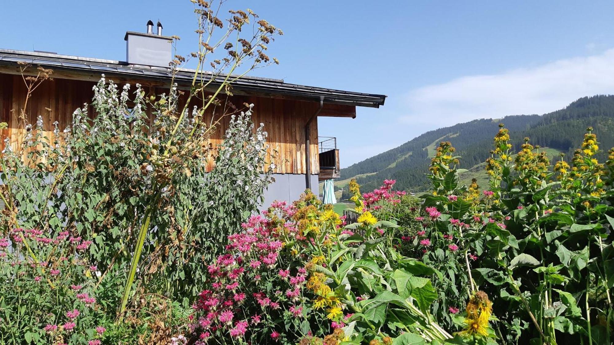 Das Hochkonig Dienten am Hochkonig Bagian luar foto