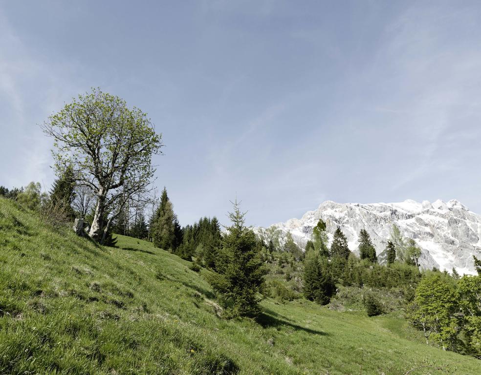 Das Hochkonig Dienten am Hochkonig Bagian luar foto