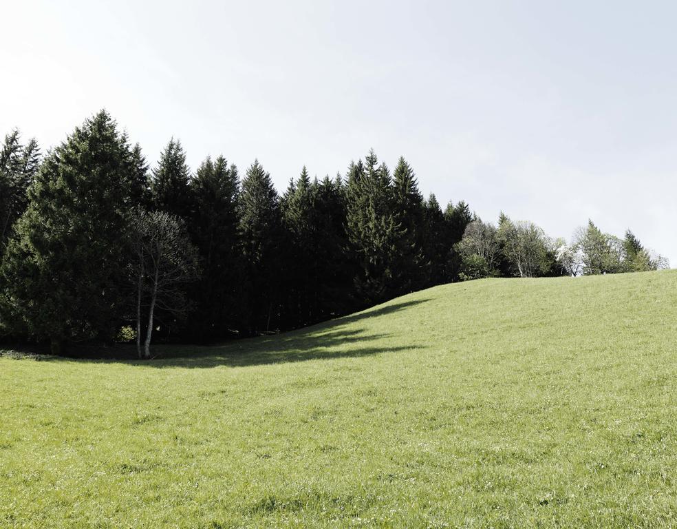 Das Hochkonig Dienten am Hochkonig Bagian luar foto